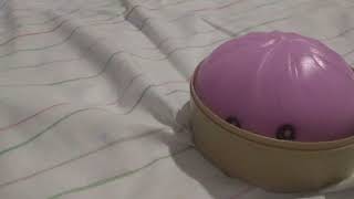 Details How to fix a ripped squishy dumpling Guide