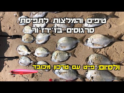 וִידֵאוֹ: מדוע חשוב ניהול דיג?