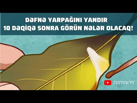 Video: Şorbalara Dəfnə Yarpağı Necə əlavə Olunur