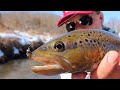 WE WERE SO DIALED IN | FLY FISHING DRIFTLESS REGION | Big Wild Trout on the Fly | Winter Fishing