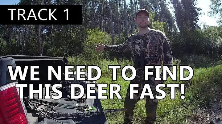 We Need To Find This Deer Fast! - The Callie Chron...