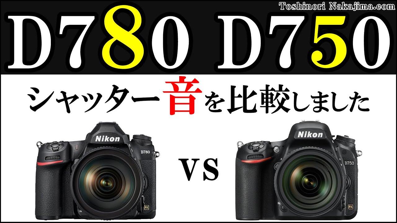 D780 シャッター音 D750 連射 比較 Nikon レビュー 一眼レフカメラ /JimaTube246