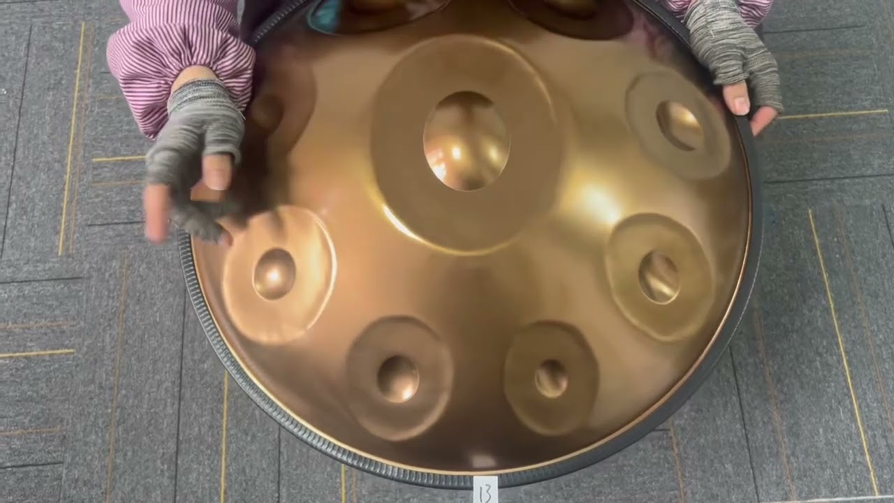 Raysen Handpan Pro Series - D Sabye - 10 - 432hz #handpanmusic