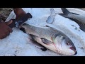 Amazing cutting fish  cooking big fish  kadal tv