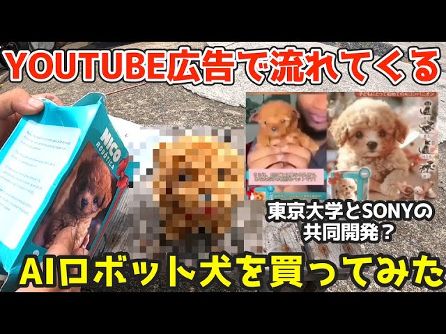 I bought an AI robot dog from a suspicious ad on YouTube, and the