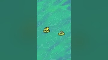 Frog Animation on Procreate  🐸