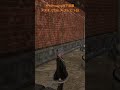 FF14Housing地下庭園 #ff14ルリルリ