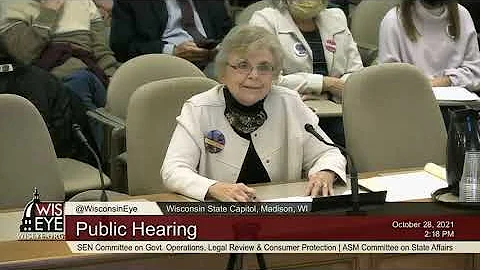 Testimony On Wisconsin Legislature's Rigged Maps b...