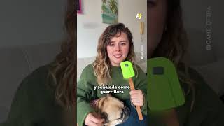 Críticos de De la Espriella denuncian amenazas