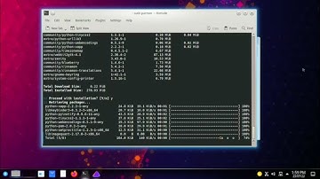 Install EndeavourOS Artemis Cinnamon Desktop using terminal.
