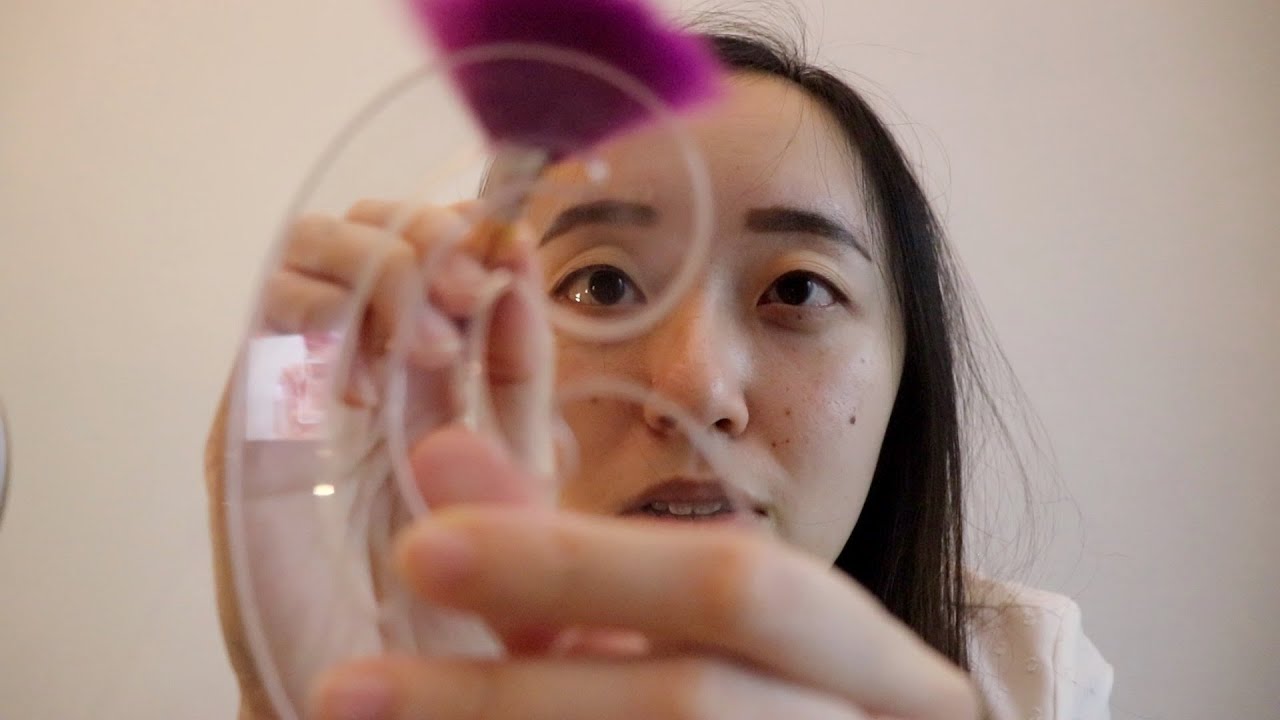 ASMR | Face Measurement Exercise (Personal Attention, Math Tools)