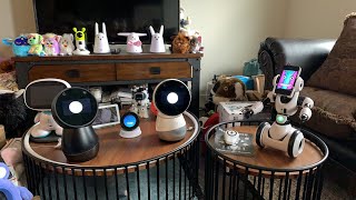 Jibo & Friends - Saturday Livestream (Hugs & Kisses)