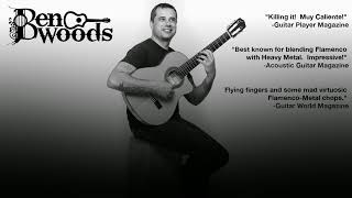 Flamenco Guitar