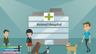 ✅ Animal Hospital Advertising Video, Pet Hospital Video Marketing Ads
