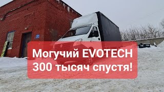 Газель Некст 300 тысяч на Эвотеке| что стало с машиной