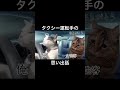 タクシー運転手の思い出話 #猫ミーム