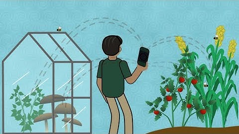 Animated Explainer Video for Kickstarter Campaign