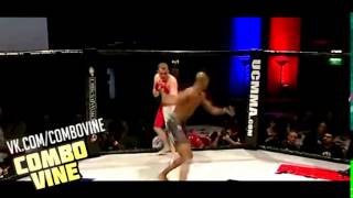 combo vine #5