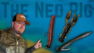 THIS Is All The NED RIG Tackle You NEED To Start Catching Bass!