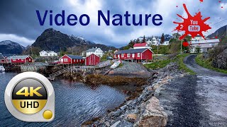 Красивое Расслабляющее Видео,Прекрасная Природа.4K Качество.#4К#Красиваяприрода#Спокойнаямузыка#