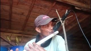 instrumen suling selimut putih, isroil datang memanggil,, nasidaria,, by suling Pur,,