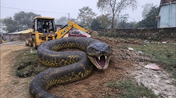 ‼️New JCB 3DX Eco in Mud Loading | Mahindra & New Holland Tractors with Trolley on Rough Tracks