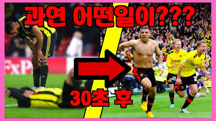 역대 가장 극적이었던 축구 경기 (극장골 레전드) 왓포드 레스터