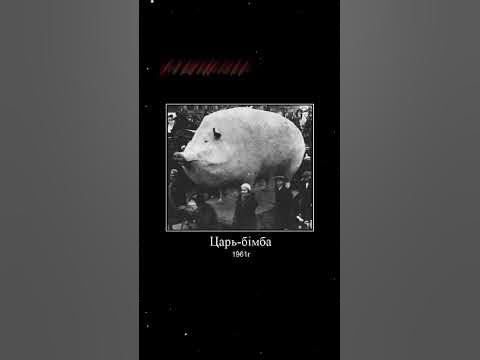 Царь бімба - YouTube