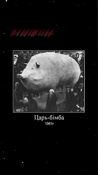 Царь бімба - YouTube