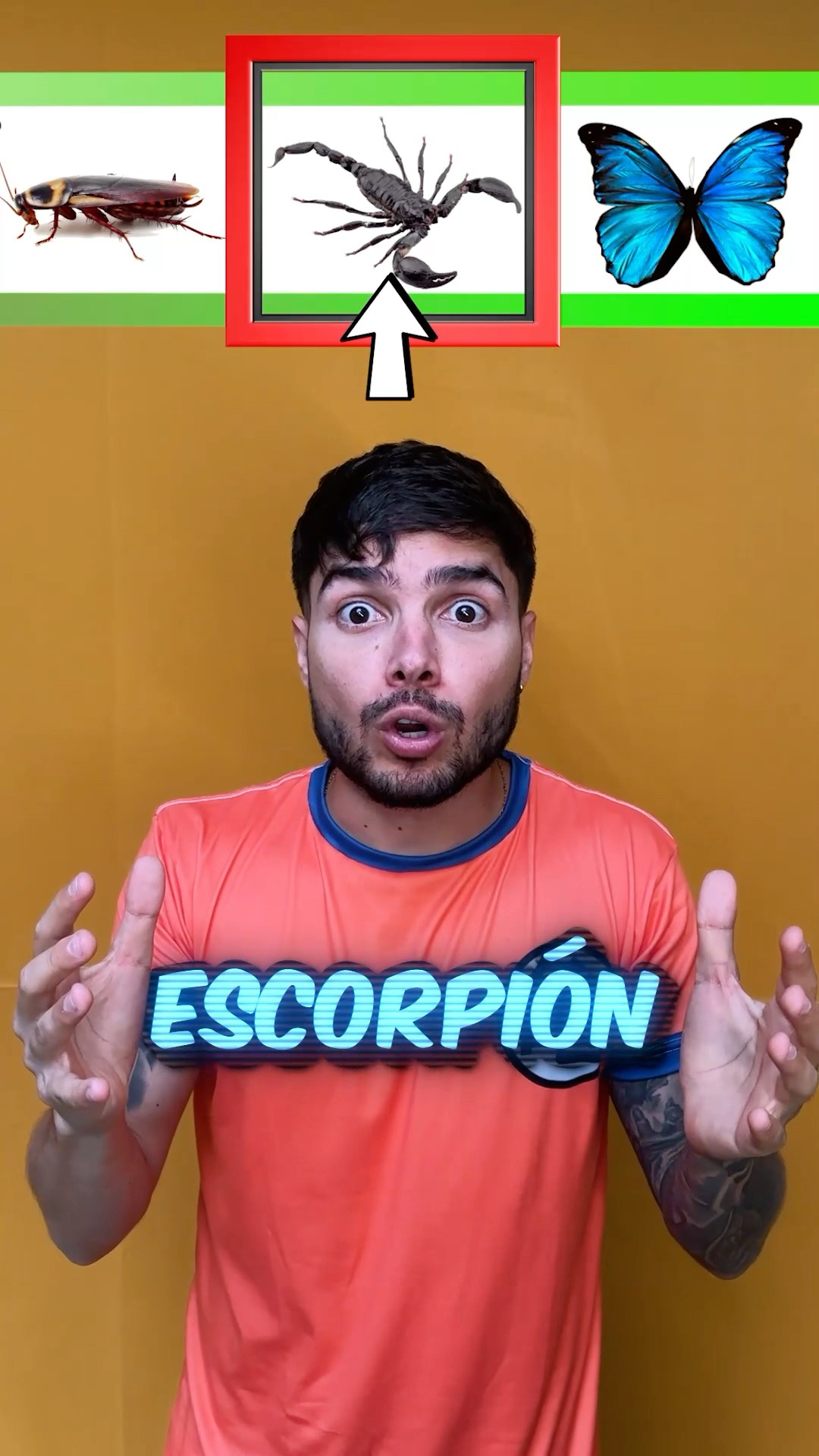 ¿Qué Sucede Cuando Mezclamos Animales Peligrosos en una Ruleta?