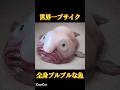 【ブサイク】プルプルすぎるブロブフィッシュの正体 #海洋生物 #深海魚 #海の生き物 #ブサカワ #shorts #雑学