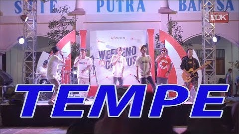 TEMPE || CINGIRE BAND (LIVE)
