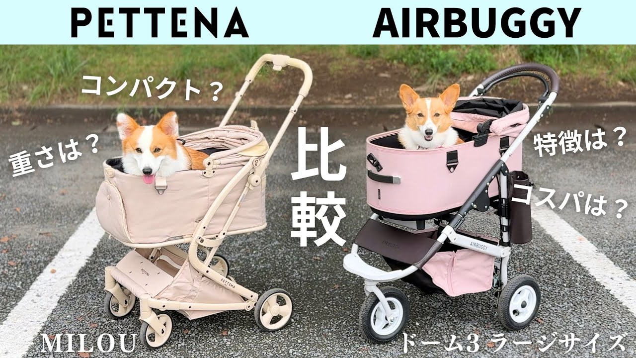 【ペットカート比較】PETTENA / AIRBUGGY 使って分かったメリット・デメリットも比較形式でご紹介！