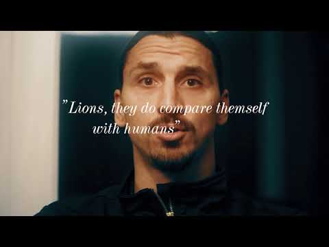Zlatan and agent Dex - Quotes