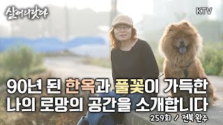 (살어리랏다) (259회)  90년 된 한옥과 풀꽃으로 가득한 나의 로망을 찾아서!! koreatv, farmer, wild flower, garden (전북 완주)