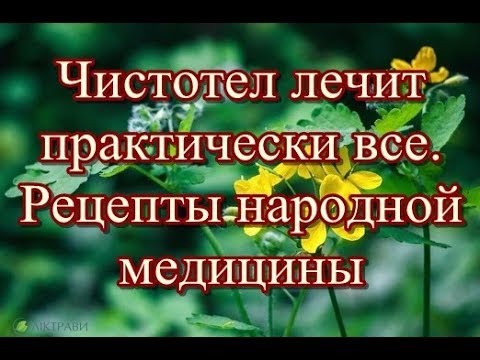 Чистотел лечит практически все -  Рецепты народной медицины