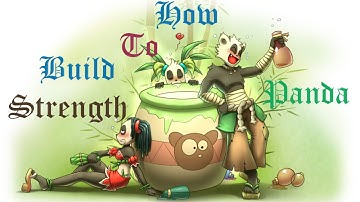 Dofus - How to build Pandawa 1-200 - Strength