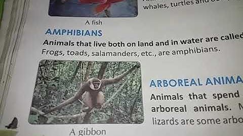 Std:-4 Science ch:-10 Adaptations- How Animals Survive Part (1)