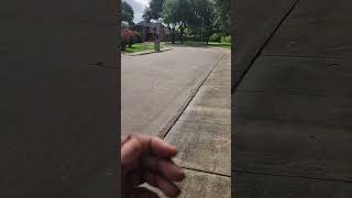Why does your lawn look worse than mine? Texas turf type tall fescue