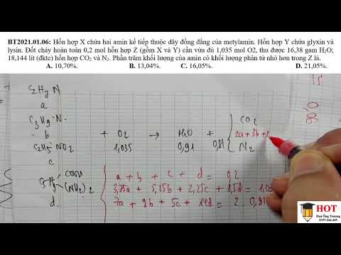 Video Hỗn hợp X chứa hai amin kế tiếp thuộc dãy đồng đẳng... - youtube