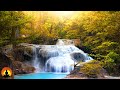 🔴 Study Music 24/7, Meditation Music, Concentration Music, Focus, Relaxing Music, Calm Music, Study