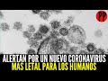 ALERTAN POR UN NUEVO CORONAVIRUS MÁS LETAL PARA LOS HUMANOS / Noticias de hoy PP en Vivo