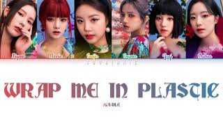 Download Lagu (G)I-DLE(아이들) - 'Wrap Me In Plastic' (color coded lyrics) Download Lagu (G)I-DLE(아이들) - 'Wrap Me In Plastic' (color coded lyrics)