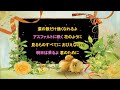 TOMORROW   稲垣潤一/玉城千春【女性パート】