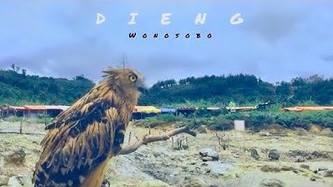 Dieng | Wonosobo | Cinematic Travel Video