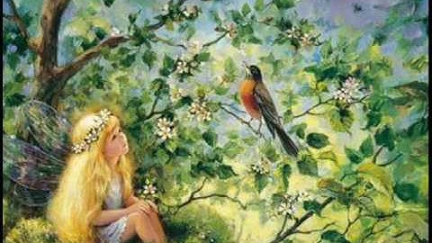 A. Vivaldi:  RV 119 / Paris Concerto n. 3 for strings & b.c. in C minor / Modo Antiquo