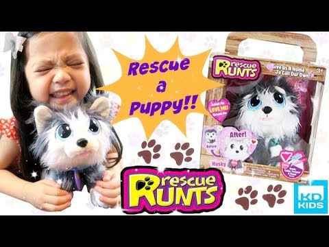 rescue runts husky plush dog