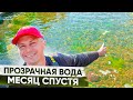 Прозрачный пруд с биоплато✅Плавательный пруд✅Пруд своими руками