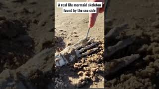 A real life mermaid skeleton found by the sea side #shorts #short #youtubeshorts #viral #video #news