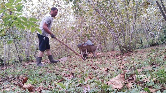 Meşhur Veni Vidi Vici Sözü Hangi İlimizde Ortaya Çıktı? - TRT Avaz Haber 